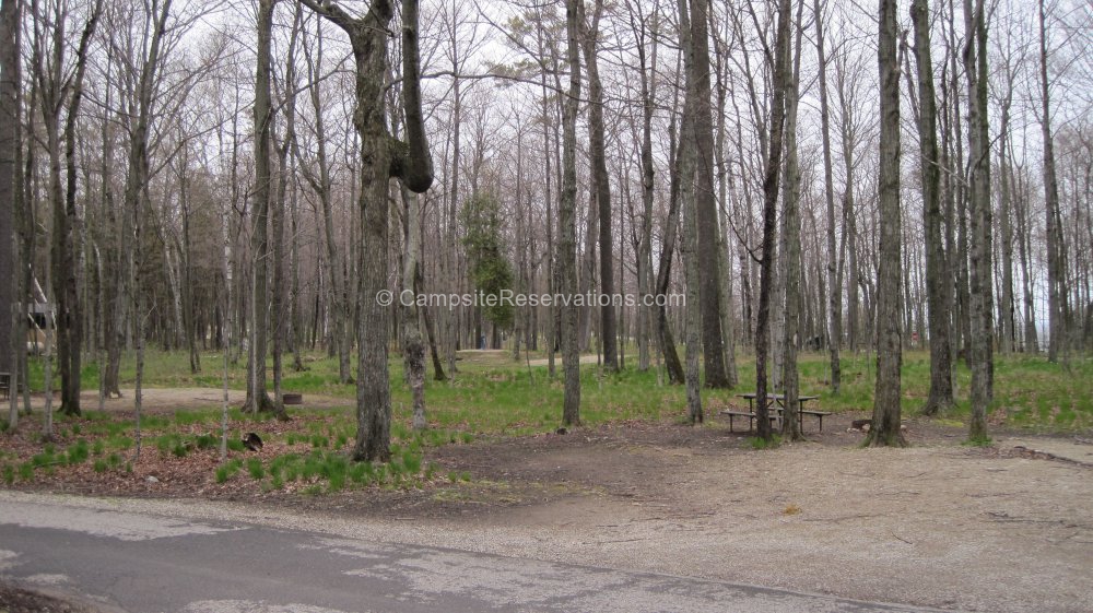 Photo of Campsite 533 in Welckers Campground at Peninsula State Park